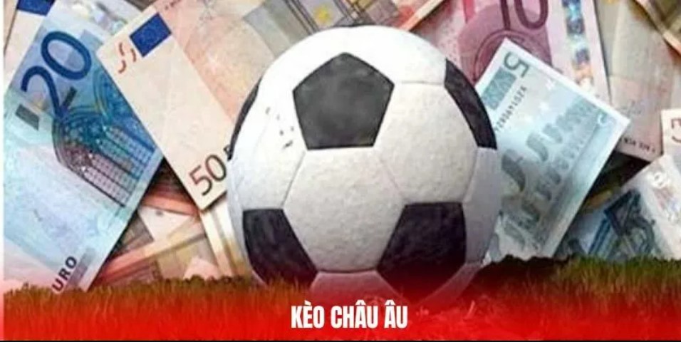 Bật mí các cần câu tiền được chia sẻ từ cao thủ